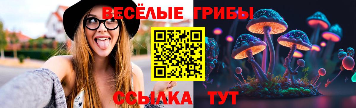 Бердск  Галлюциногенные грибы Cubensis  Вход с VPN 